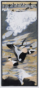 Eiders
