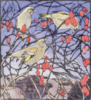Greenfinches