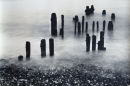 Time and Tide