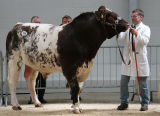 Carlisle sale May 2011