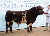 Stirling Sales February 2011