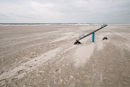 Spiekeroog