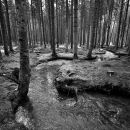 Snow melt