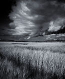 Approaching Thunderstorm