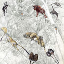 Neotropical Primates