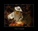 Bee Keeper