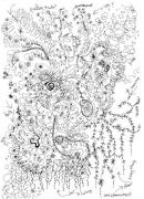 ~Conception Birth Abandonment~