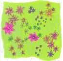 ~Firework Flowers~