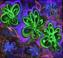 ~Night Shades~