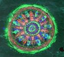 ~Moon Mandala~