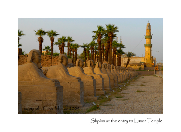 Sphinx at Luxor Temple