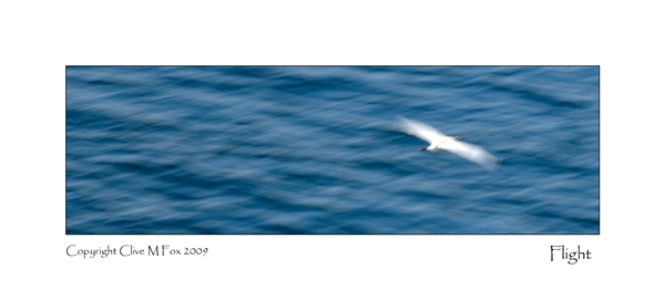 Flight