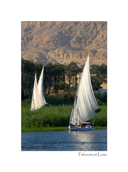Felucca's