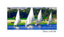 Felucca's on the Nile