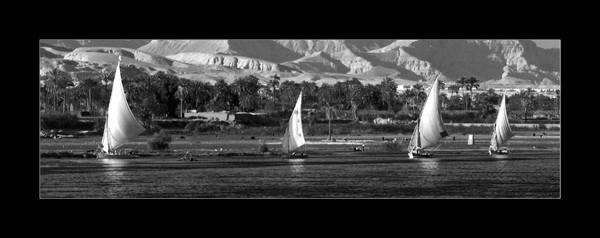 Felucca's at Luxor