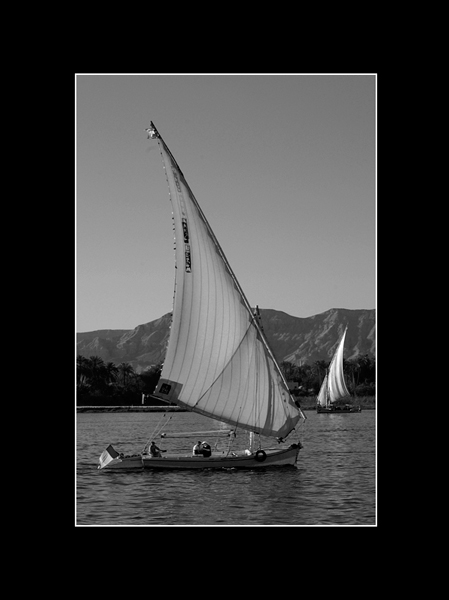 Felucca