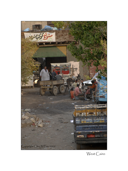 Cairo Life