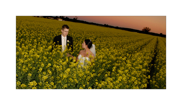Aaron & Amanda