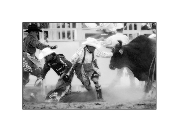 Rodeo Action in Mono