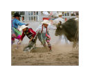 Bull Fighters in Action