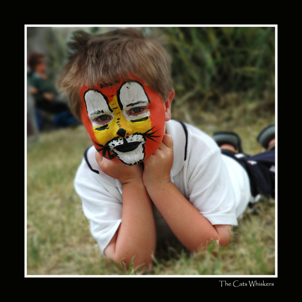 Boy Cat