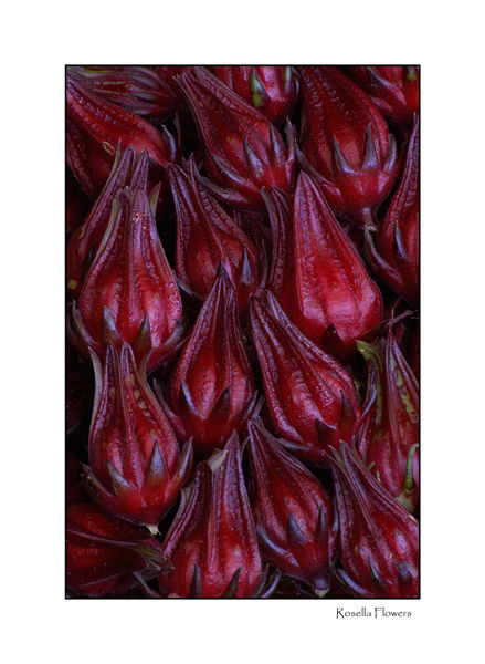 Rosella Flowers