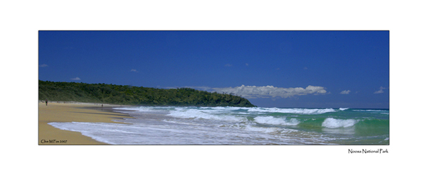 Noosa Foreshore