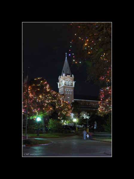 Christmas Lights
