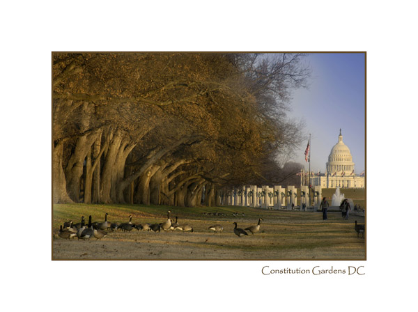 Constitution Gardens Washington DC