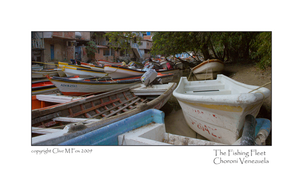 Fishing Fleet