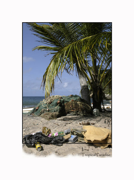 Environmental Abuse
