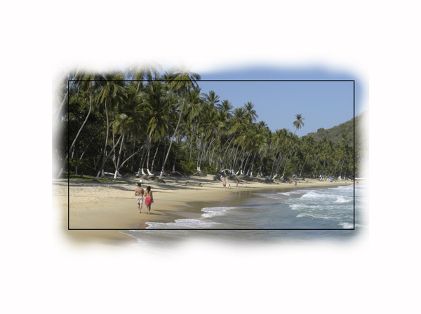 Choroni Caribean Beach