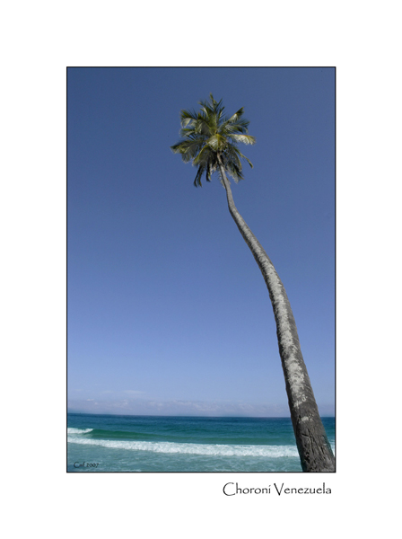 Choroni view of the Caribean