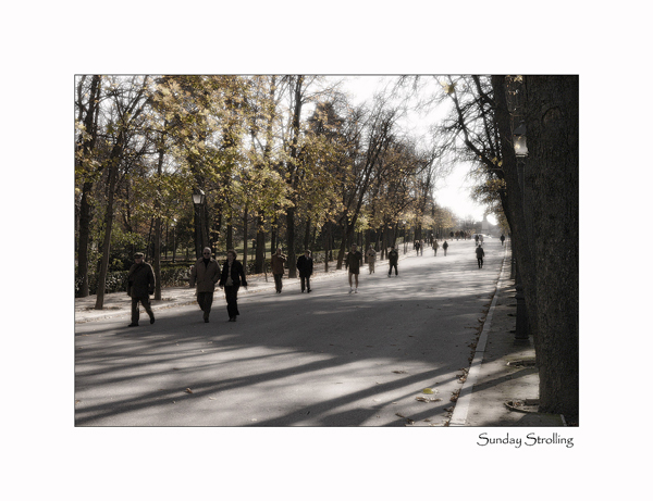 A Sunday Stroll in the Park