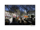 Artist Square Montemart Paris