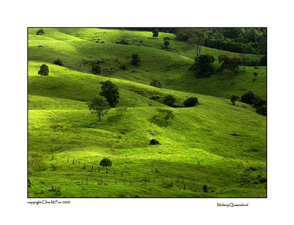 Green Fields in Maleny Queensland
