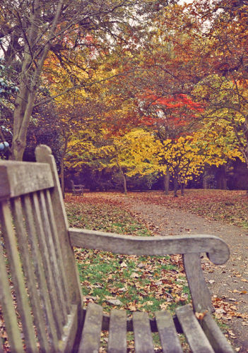 Autumn Leaves 
