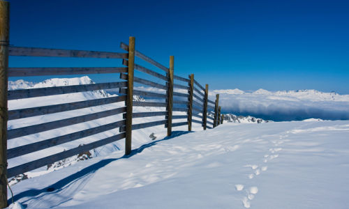 Fence in the snow