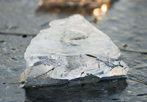 Ice in Richmond Park