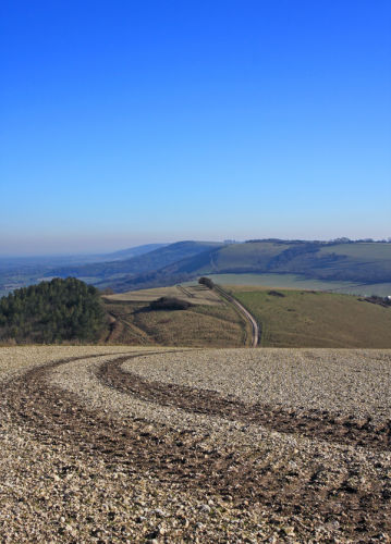  The top field.