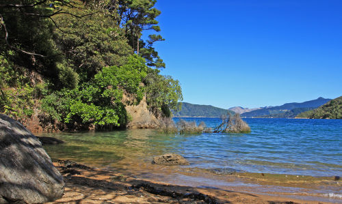 Castaway.