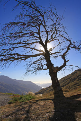 Arthur's Pass - Highest road in the Southern Hemisphere
