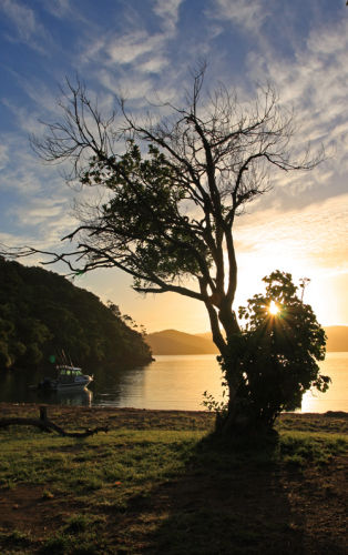 Sunrise 2008