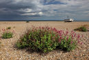 Aldeburgh, Suffolk