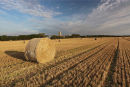 Covehithe, Suffolk