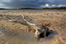 Benacre, Suffolk