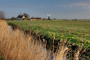 Langley Marshes, Norfolk