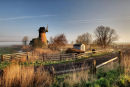 Chedgrave Marshes, Norfolk