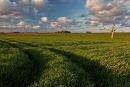 Oby, Norfolk