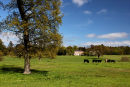 Somerleyton, Suffolk